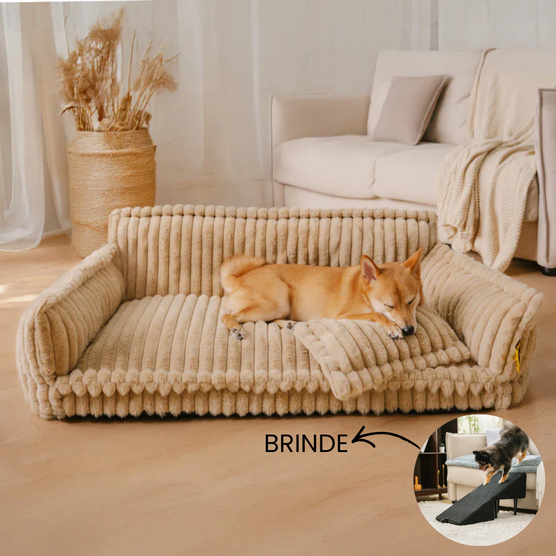 Cama Sofá Pet Ortopédico - O seu pet também merece uma cama ortopédica + Rampa de Brinde