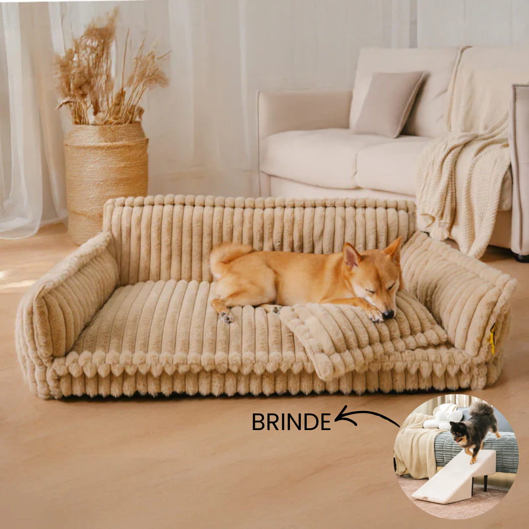 Cama Sofá Pet Ortopédico - O seu pet também merece uma cama ortopédica + Rampa de Brinde