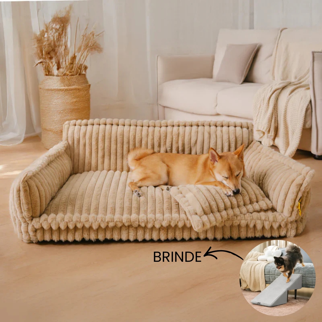 Cama Sofá Pet Ortopédico - O seu pet também merece uma cama ortopédica + Rampa de Brinde