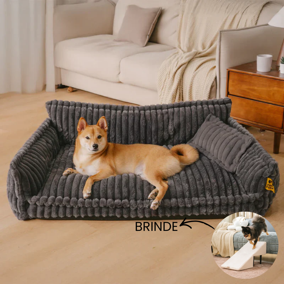Cama Sofá Pet Ortopédico - O seu pet também merece uma cama ortopédica + Rampa de Brinde