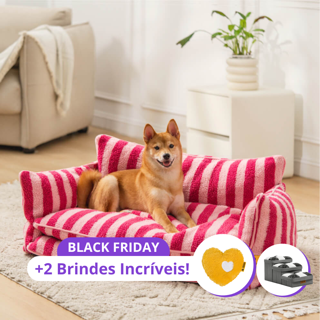 Sofá Cama Ortopédico Duplo Trendy™ + 2 Brindes Incríveis