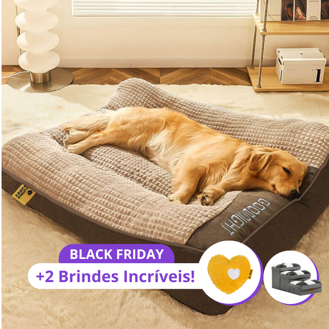 Cama Ortopédica Protector™ + 2 Brindes Incríveis