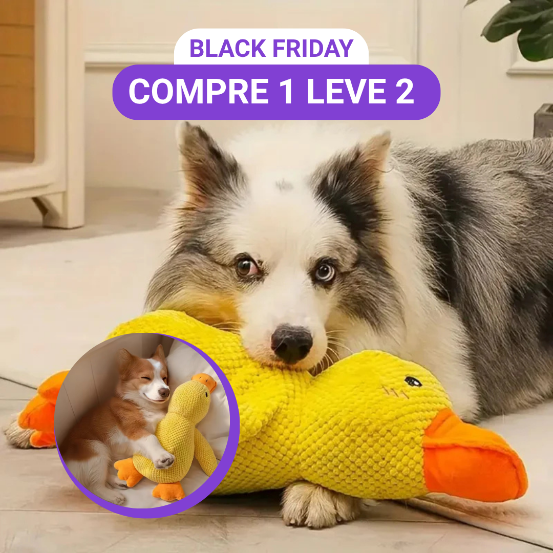 [COMPRE 1 E LEVE 2] Pelúcia Pato Amigo - A melhor companhia para o seu Pet