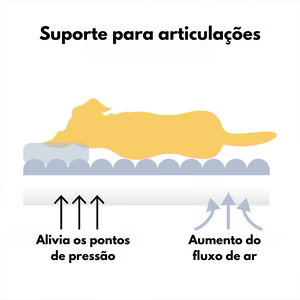 [ÚLTIMAS UNIDADES] Cama Ortopédica Caverna - Escadinha Pet + Pelúcia de BRINDE