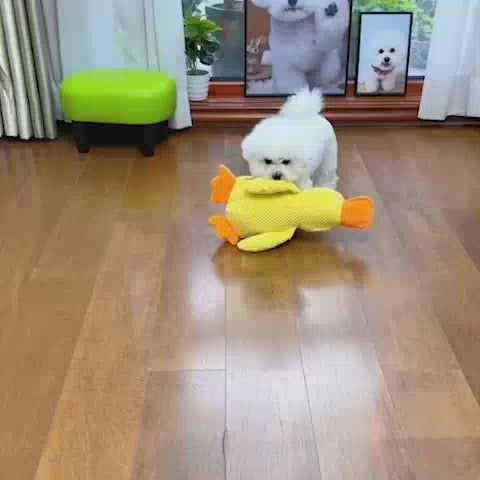 [COMPRE 1 E LEVE 2] Pelúcia Pato Amigo - A melhor companhia para o seu Pet